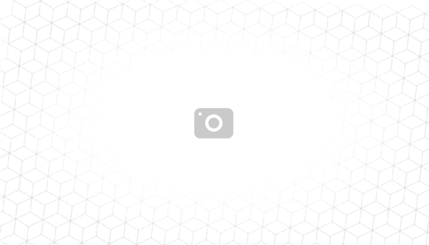 Die besten Materialien für langlebige Kratzbäume